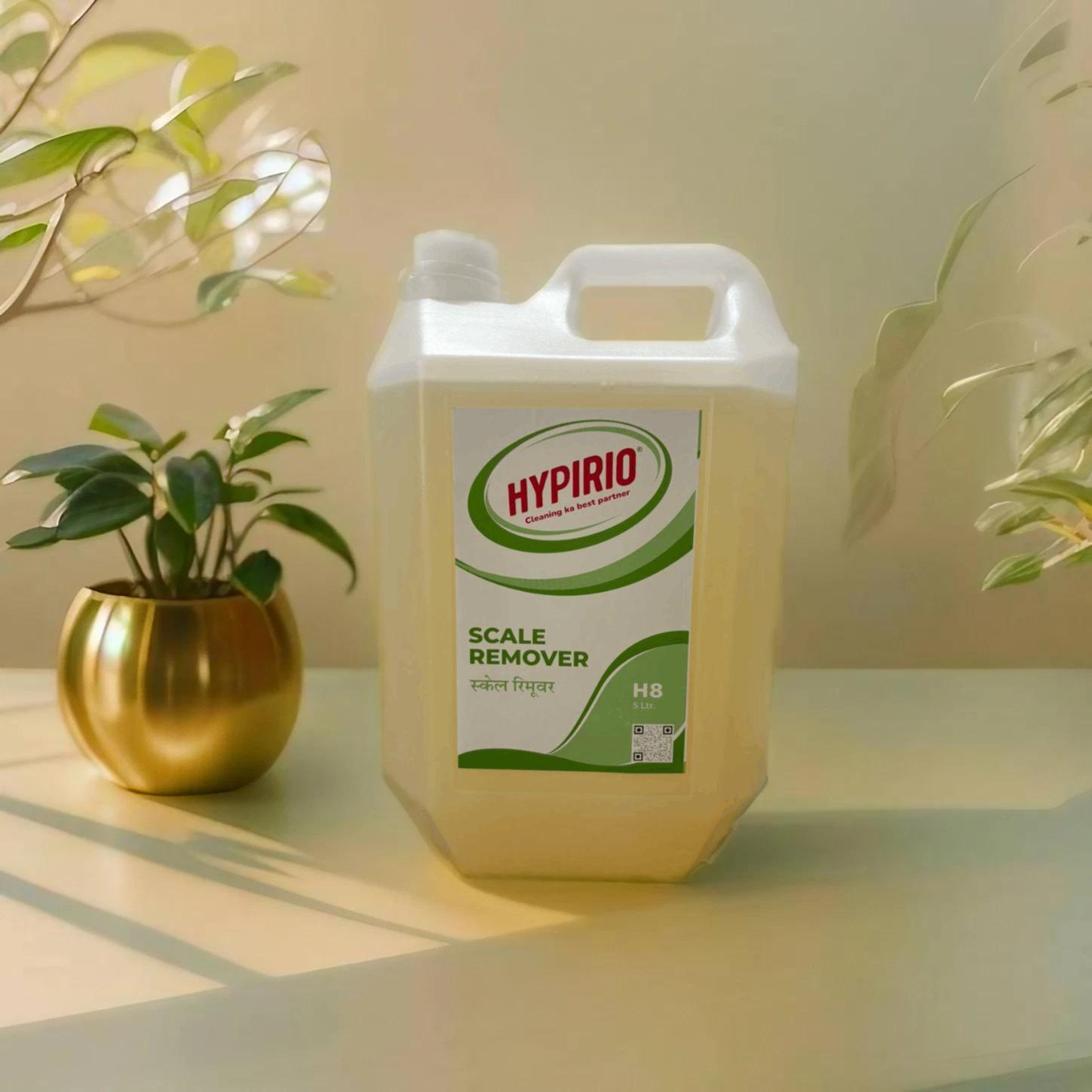 WhatsApp Image 2026-02-09 at 5.24.57 PM(1)