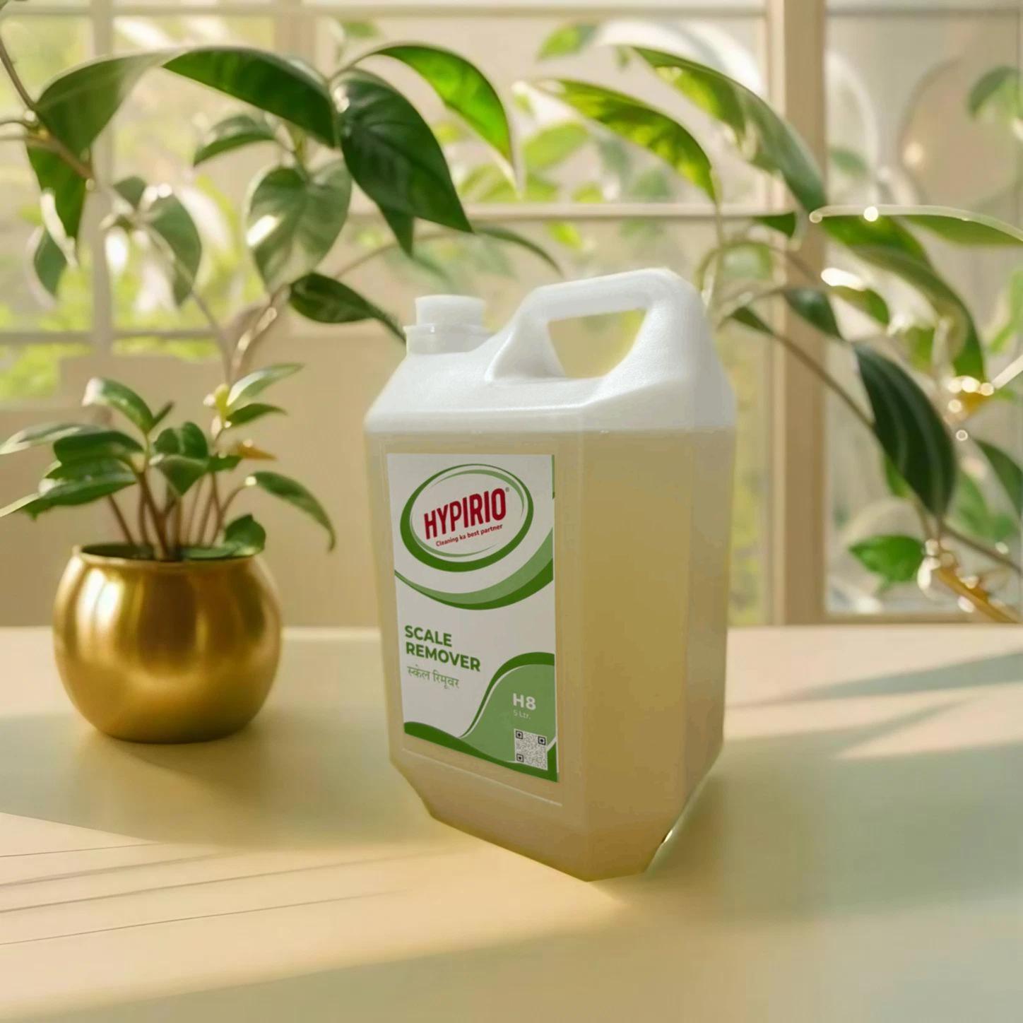 WhatsApp Image 2026-02-09 at 5.24.58 PM