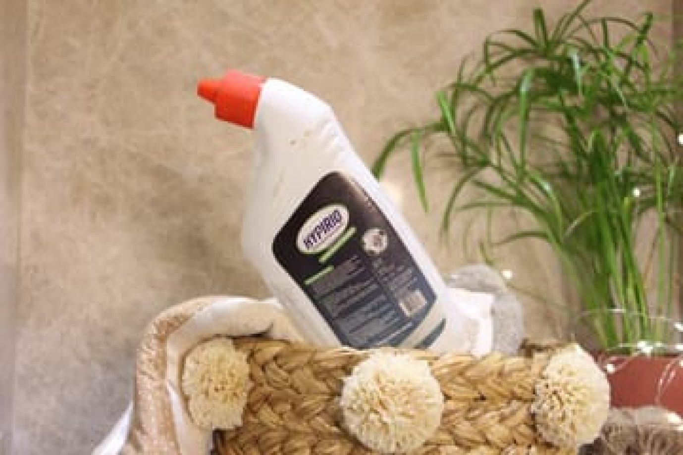 WhatsApp Image 2025-12-03 at 12.07.49 PM