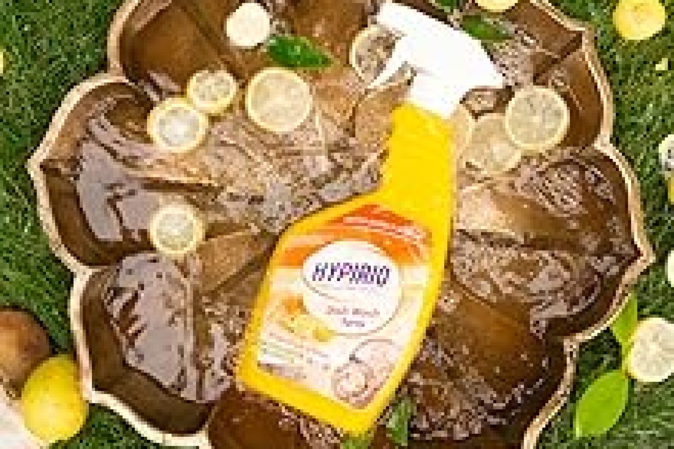 fd0a5dc6-f6ca-4381-8575-b170b91ce0ee.__CR501,338,1097,1097_PT0_SX220_V1___